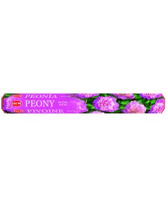 Peony Hexa 